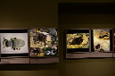 Wasp_exhibition__DSC3457